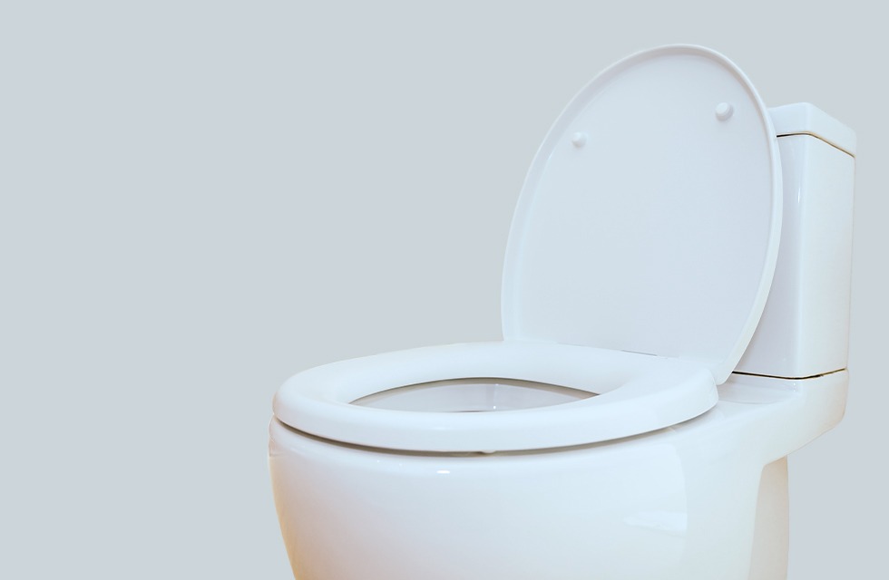sostituire-copriwater-come-riconoscere-il-proprio-sedile-wc